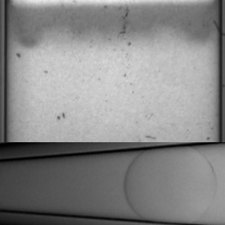 Right Image