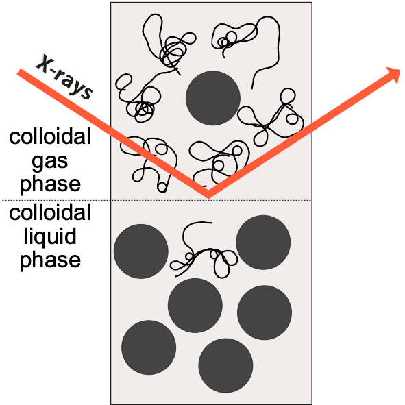 Right Image